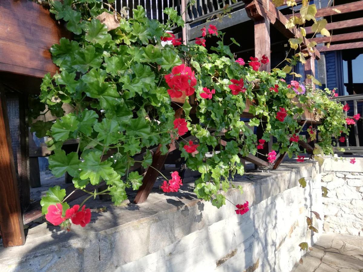 Trifon Zarezan Family Hotel Glavatartsi Bagian luar foto